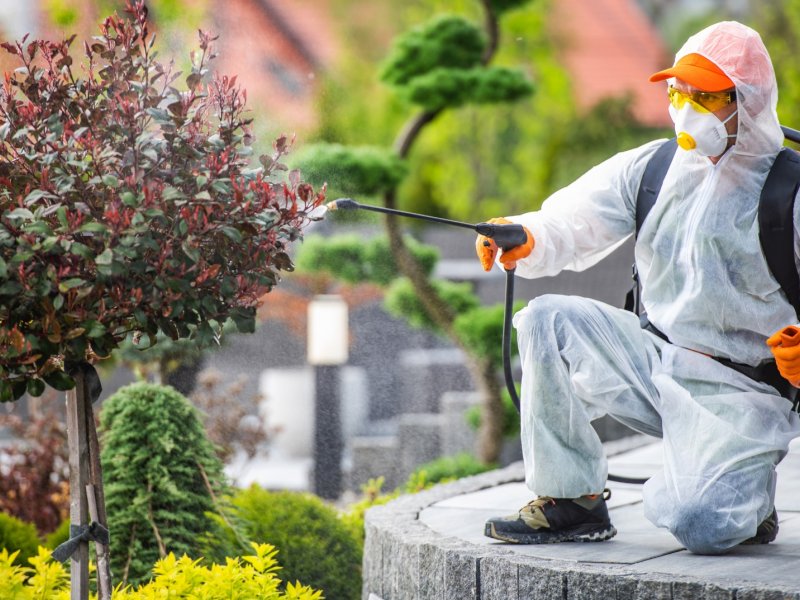 Tavşanlı Haşere İlaçlama